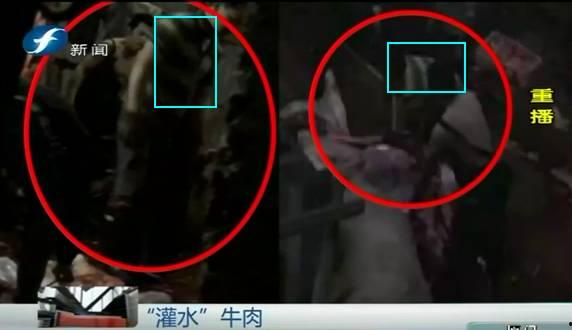 屠宰最新爆料消息网,屠宰行业惊人内幕大揭秘! 第3张 屠宰最新爆料消息网,屠宰行业惊人内幕大揭秘! 第3张