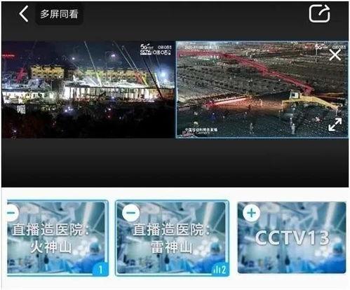 灰网全集在线观看,揭秘网络世界的隐秘角落 第3张 灰网全集在线观看,揭秘网络世界的隐秘角落 第3张